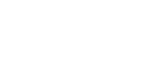 STL-Sterlite Technologies Ltd. White Logo