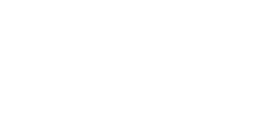 Alter Domus White Logo