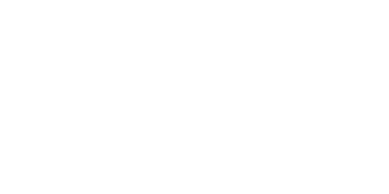 Elisa White Logo