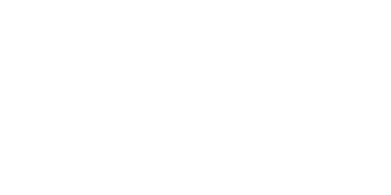Mercadinhos Sao Luiz Logo White
