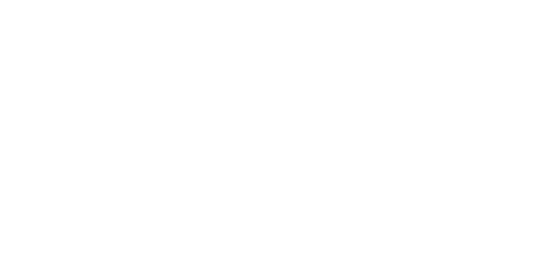 Austriacard Holding Logo white