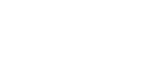 Avinor White Logo