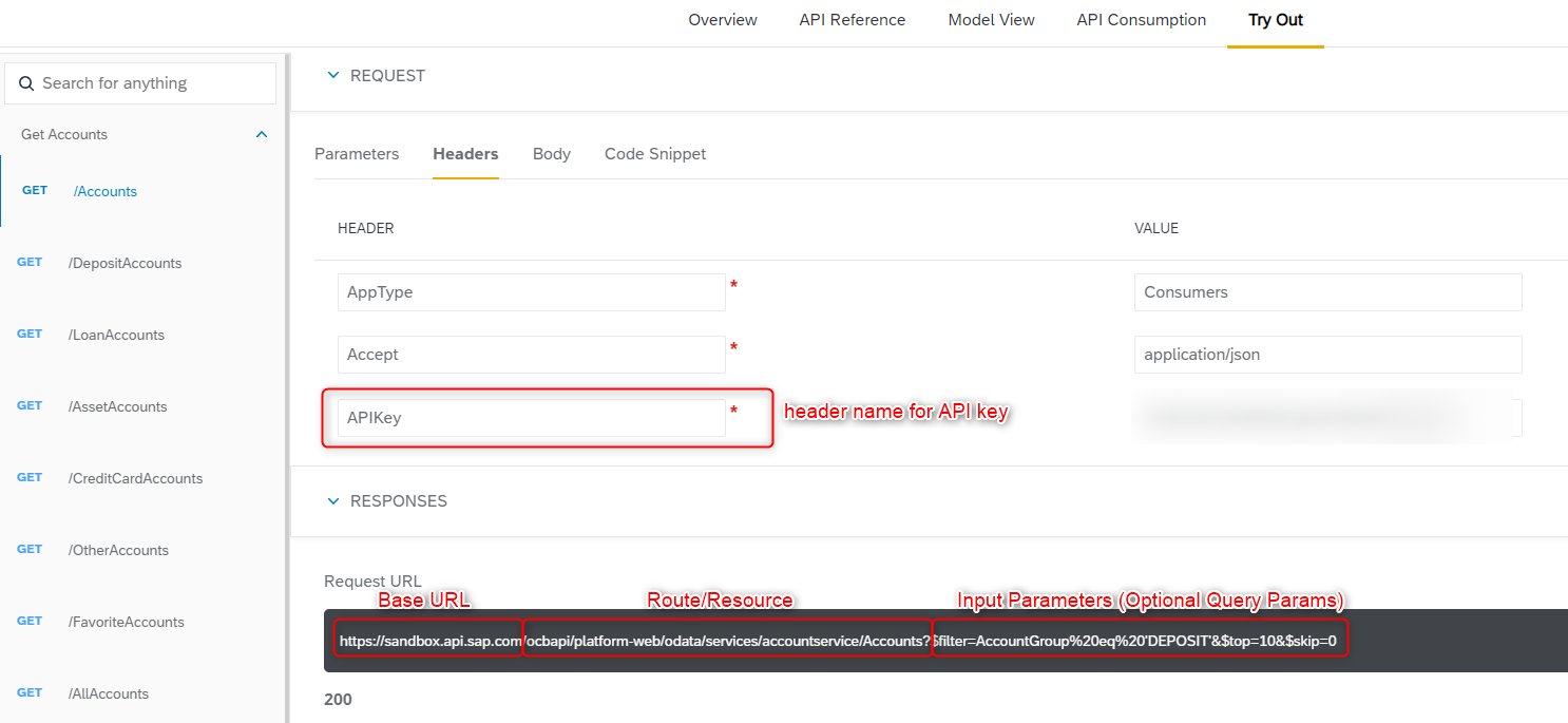 19-sap-api