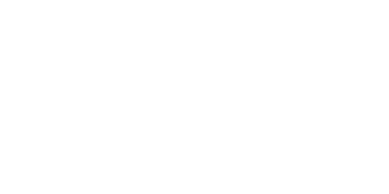 SDI Logo Color