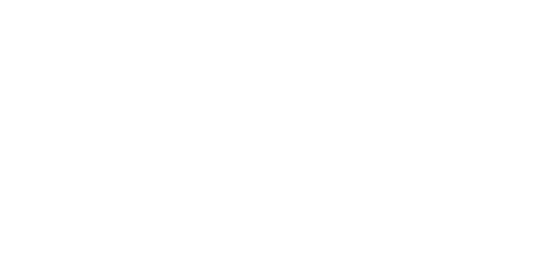 HDI Logo White