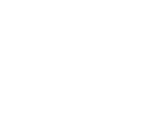 长城蚂蚁物流Logo