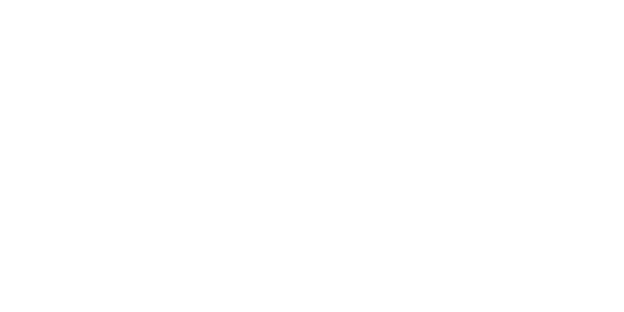 Paradise White Logo