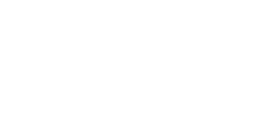 SDS Logo White