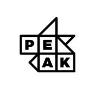 Peak ai logo
