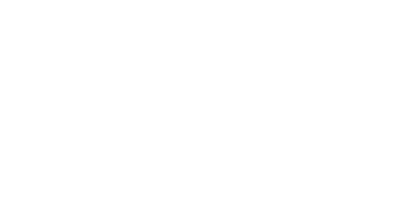 McCormick & Company Logo White