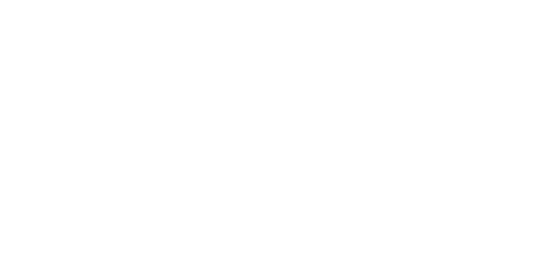 Valmet White Logo