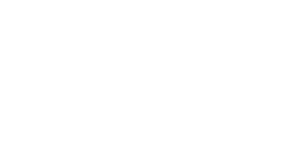 Paddy Power Betfair White Logo