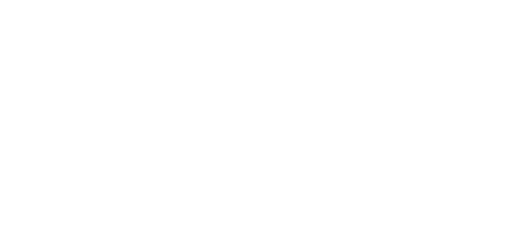 WNS White Logo