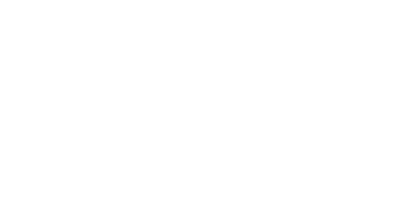 The New York Foundling White Logo