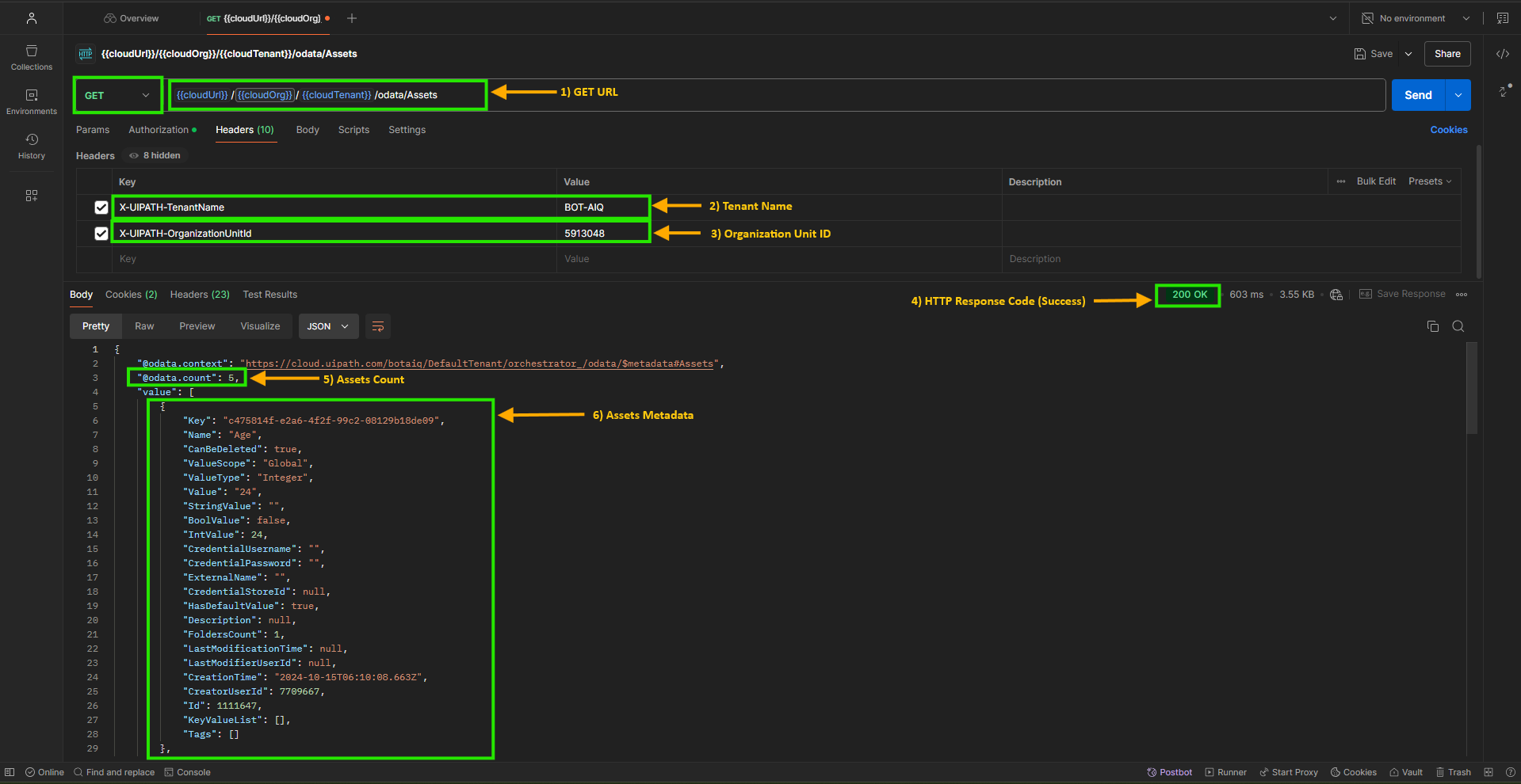 Image 9 “Execution Details Format in Postman Retrieve All Assets”