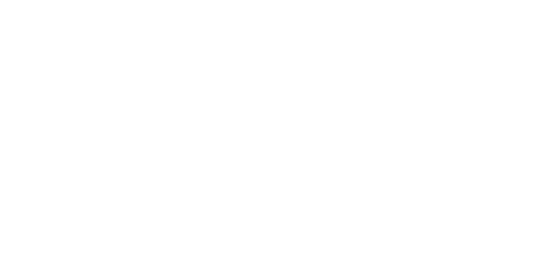 Health Fidelity White Logo