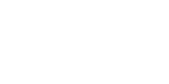 Bridgestone Logo White