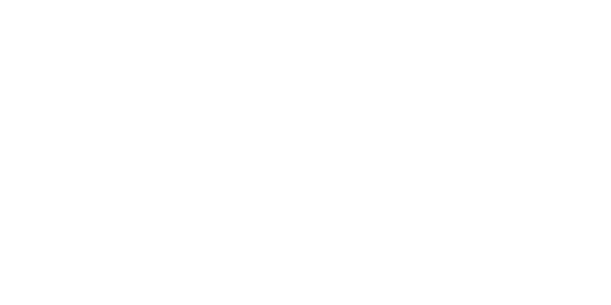 BPCE logo white