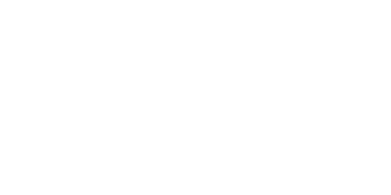 Flutter logo white