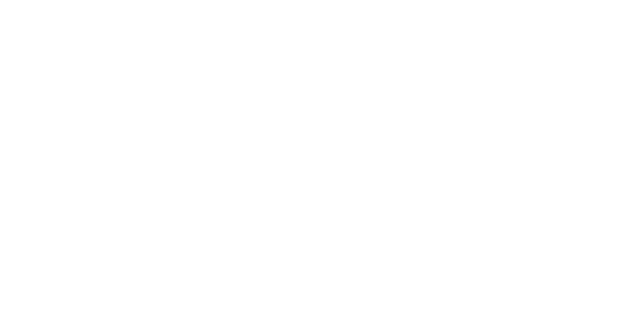 Central Denmark Region MIDT Logo White