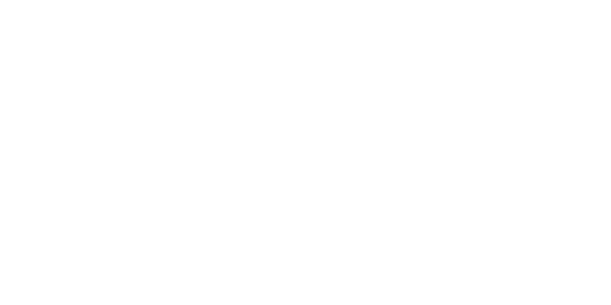 Palkeet White Logo