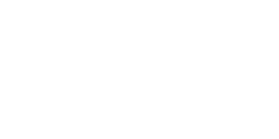 Swiss Re White Logo
