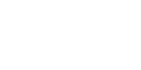 DSB Logo White