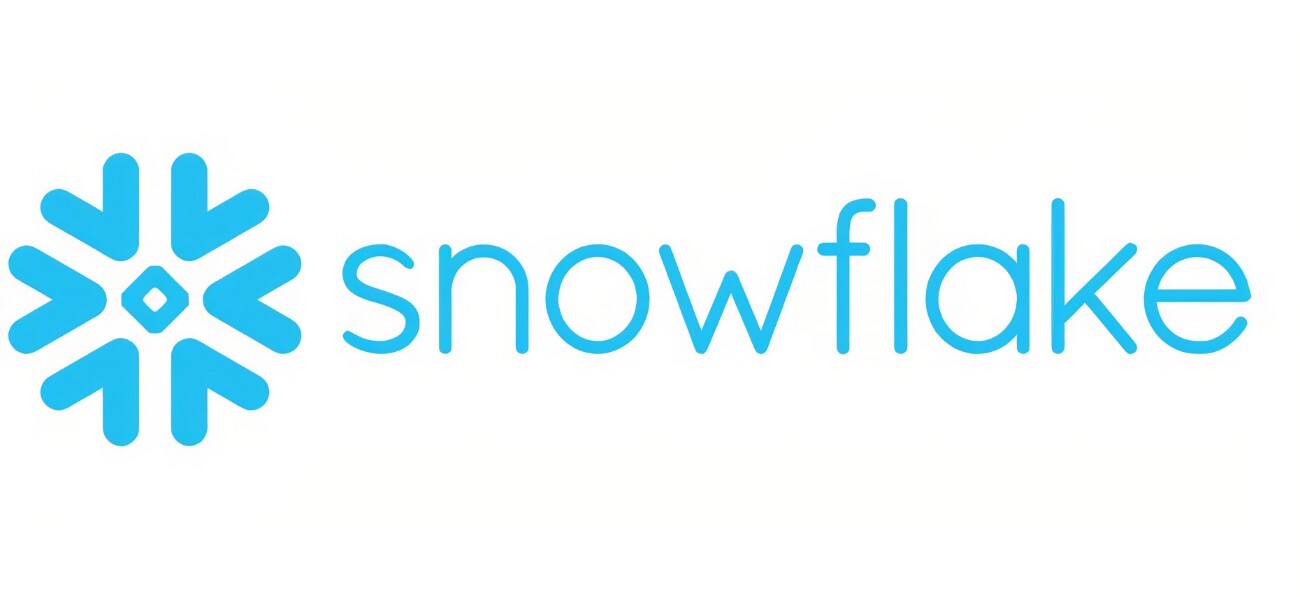 Snowflake logo color