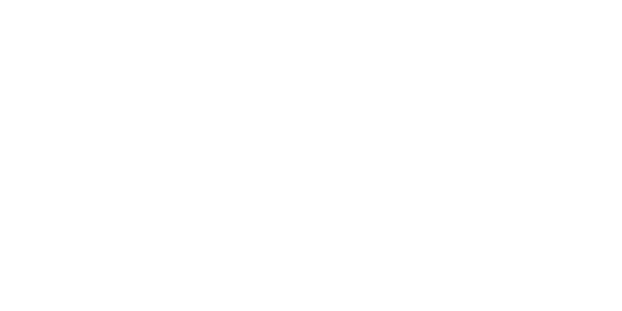 American Fidelity White Logo