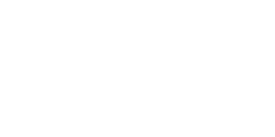 Santam Logo White