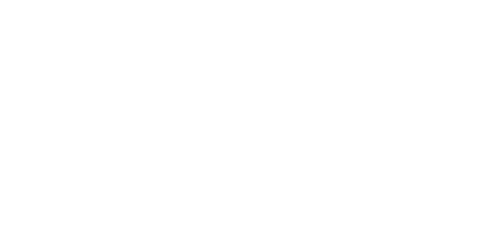Dongfeng Nissan Logo White