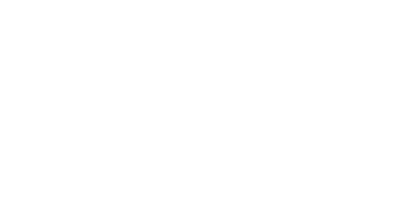 Capgemini White Logo