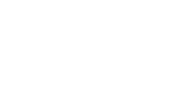 Provident Romania Logo White
