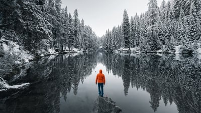 snow-covered trees forest man standing on a path