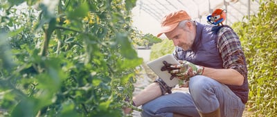 uipath esg empowering people and communities