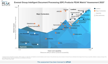 Everest IDP report