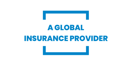 Global Insurance Provider