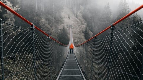 A person walks on a suspension bridge surrounded by lush greenery in a serene forest setting, representing a metaphor for adventure