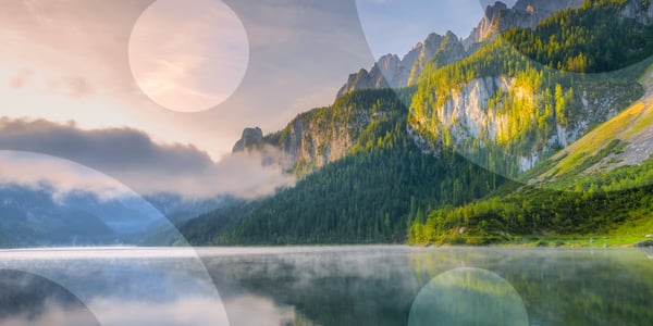 uipath-partner-forward-2024