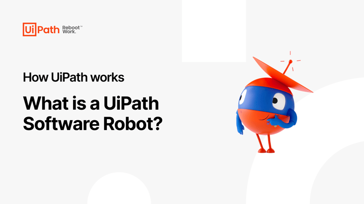 What is a UiPath Software Robot Video